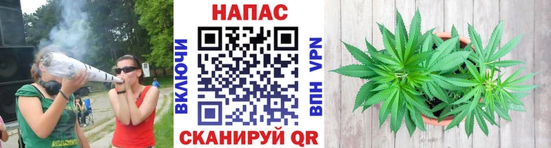 Канабис Amnesia Махачкала